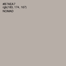 #B7AEA7 - Nomad Color Image