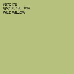 #B7C17E - Wild Willow Color Image