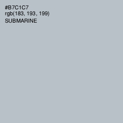 #B7C1C7 - Submarine Color Image