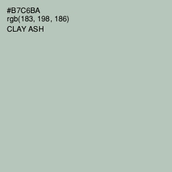 #B7C6BA - Clay Ash Color Image