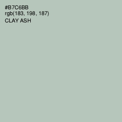 #B7C6BB - Clay Ash Color Image