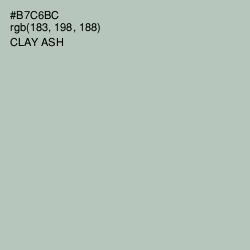 #B7C6BC - Clay Ash Color Image