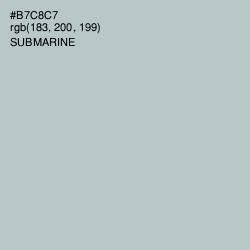 #B7C8C7 - Submarine Color Image