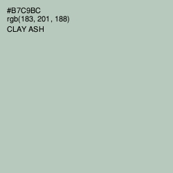 #B7C9BC - Clay Ash Color Image