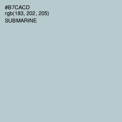 #B7CACD - Submarine Color Image