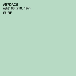 #B7DAC5 - Surf Color Image