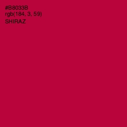 #B8033B - Shiraz Color Image