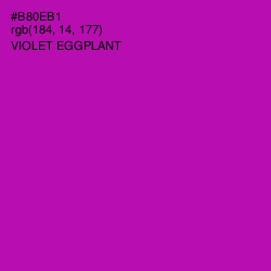#B80EB1 - Violet Eggplant Color Image