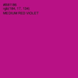 #B81186 - Medium Red Violet Color Image