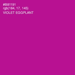#B81191 - Violet Eggplant Color Image