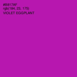 #B817AF - Violet Eggplant Color Image