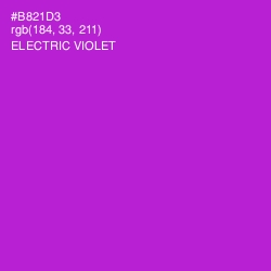 #B821D3 - Electric Violet Color Image