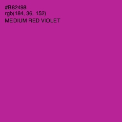 #B82498 - Medium Red Violet Color Image