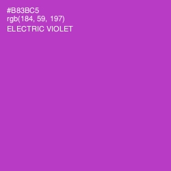 #B83BC5 - Electric Violet Color Image