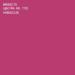 #B83C70 - Hibiscus Color Image