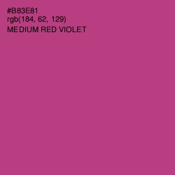 #B83E81 - Medium Red Violet Color Image