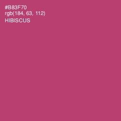 #B83F70 - Hibiscus Color Image