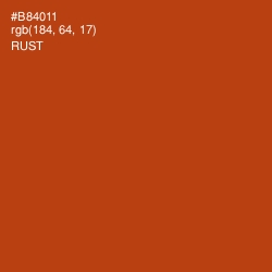 #B84011 - Rust Color Image