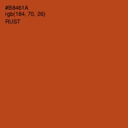 #B8461A - Rust Color Image