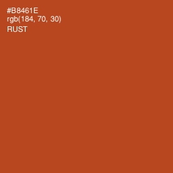 #B8461E - Rust Color Image