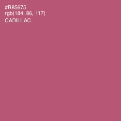 #B85675 - Cadillac Color Image