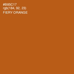 #B85C17 - Fiery Orange Color Image