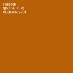 #B86008 - Pumpkin Skin Color Image