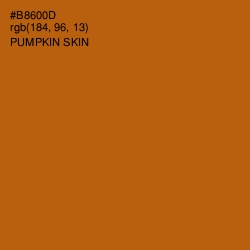 #B8600D - Pumpkin Skin Color Image