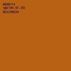 #B86114 - Bourbon Color Image