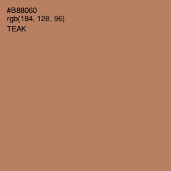 #B88060 - Teak Color Image