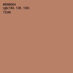 #B88064 - Teak Color Image