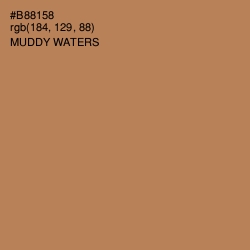 #B88158 - Muddy Waters Color Image