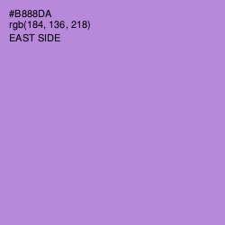 #B888DA - East Side Color Image