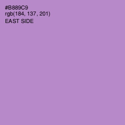 #B889C9 - East Side Color Image