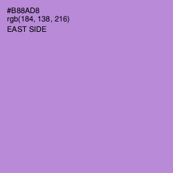 #B88AD8 - East Side Color Image