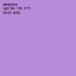 #B88AD9 - East Side Color Image