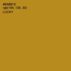 #B88B1E - Lucky Color Image