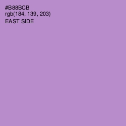 #B88BCB - East Side Color Image