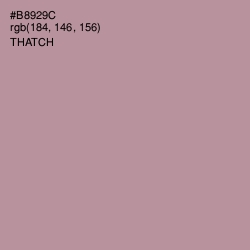 #B8929C - Thatch Color Image