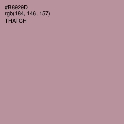 #B8929D - Thatch Color Image