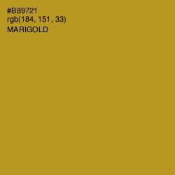 #B89721 - Marigold Color Image