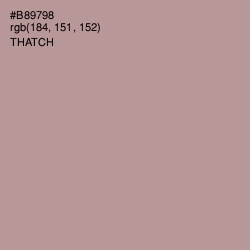 #B89798 - Thatch Color Image