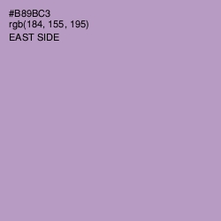 #B89BC3 - East Side Color Image