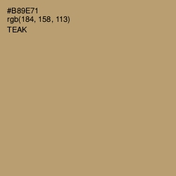 #B89E71 - Teak Color Image