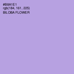 #B8A1E1 - Biloba Flower Color Image