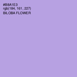 #B8A1E3 - Biloba Flower Color Image