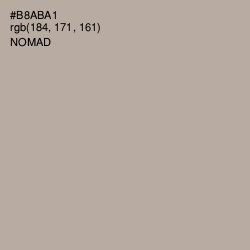#B8ABA1 - Nomad Color Image