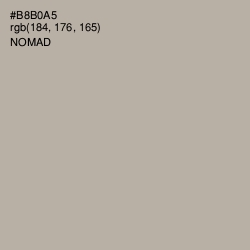 #B8B0A5 - Nomad Color Image