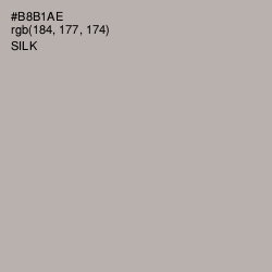 #B8B1AE - Silk Color Image