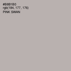 #B8B1B0 - Pink Swan Color Image